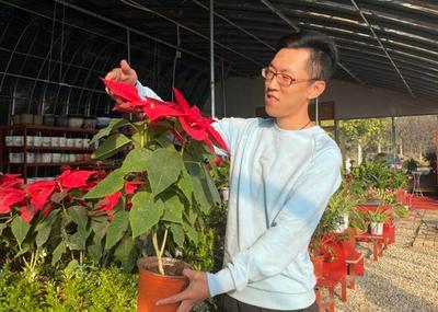 90后小伙的“花”样人生，平度东阁街道古莹崖村退役军人王震深耕花卉绿植行业收益可观