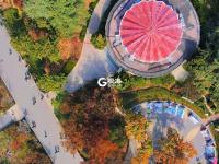 航拍秋日中山公园：这份壁纸请收好