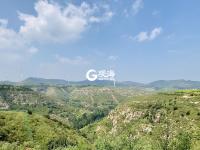 向往的生活 坐标潍坊薰衣草小镇——潮起胶东线上展（11）