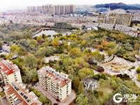 航拍李村公园：美景与烟火气共生