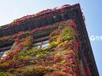 秋意浓 每一种秋色都令人沉醉 