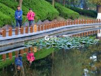 色彩斑斓，青岛植物园秋色醉人