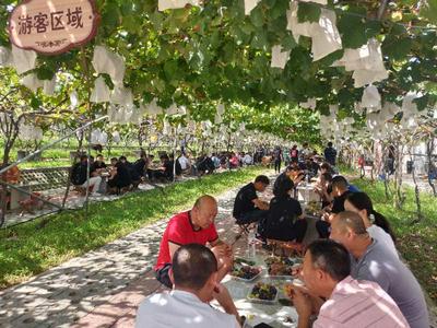 会客平度迎国庆，欢乐体验赏金秋！平度市打出“组合拳”提振文旅消费