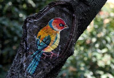 快来看！在城市的角落里还藏着这些小可爱