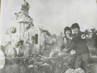 珍贵老照片回顾中山公园菊花展，青岛几代人心中的回忆！