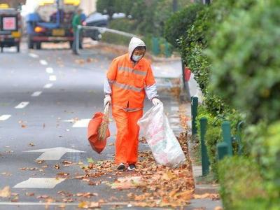 秋风再起，簌簌落叶为青岛增添诗情画意