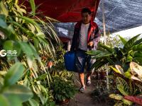 以花为生的中年青漂人 