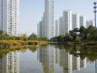 青海西宁：推进城市绿化，提升城市颜值