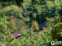 青岛有这样一个美丽的公园，你来过吗？