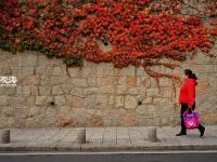 秋意浓 每一种秋色都令人沉醉 