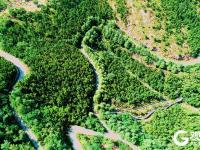 青岛有这样一个美丽的公园，你来过吗？