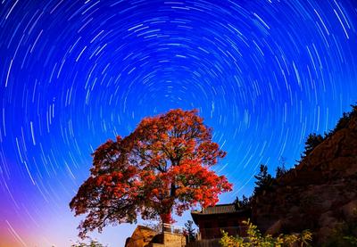 秋意绵长正浓时丨观海镜赛大赏
