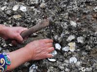 避开景点人潮，唐岛湾开启假日慢生活！