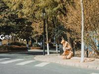 八大关的银杏黄啦，一起去拥抱深秋吧！