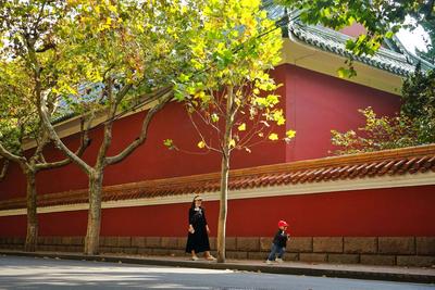 秋意浓 每一种秋色都令人沉醉 