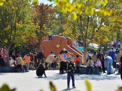 李沧这个公园里有四只超萌“大象”，孩子们玩疯了！