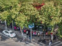 有你最美！青岛这些别样风景，让人安心！