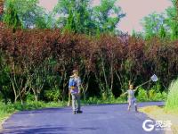 青岛有这样一个美丽的公园，你来过吗？