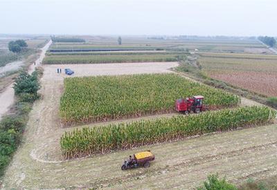 国庆恰逢中秋节，更是一年丰收季