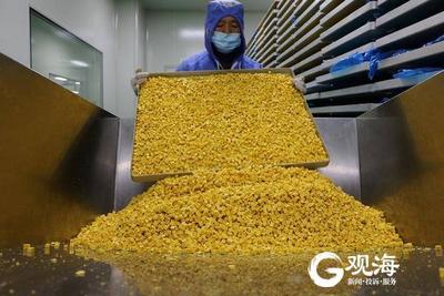 西海岸将添百亿级宠物产业园区  明月安欣冻干宠物食品项目一期投产