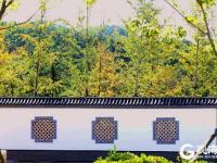 青岛有这样一个美丽的公园，你来过吗？