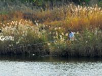 惹人醉，唐岛湾秋正浓
