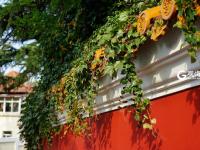 秋意浓 每一种秋色都令人沉醉 