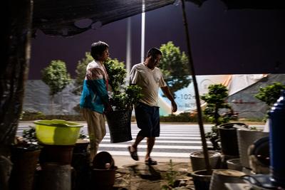 以花为生的中年青漂人 