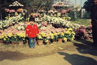 珍贵老照片回顾中山公园菊花展，青岛几代人心中的回忆！