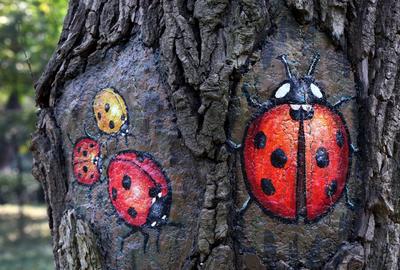 快来看！在城市的角落里还藏着这些小可爱