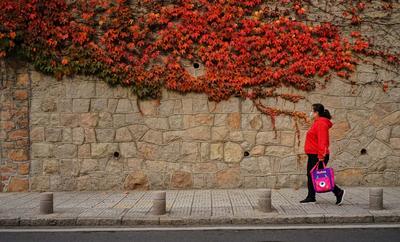 秋意浓 每一种秋色都令人沉醉 