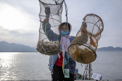 螃蟹八带虾虎……诱惑来袭 港东码头秋日丰收