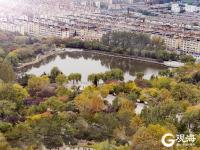 航拍李村公园：美景与烟火气共生