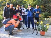 金秋菊展吸引爱花人