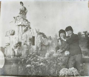 珍贵老照片回顾中山公园菊花展，青岛几代人心中的回忆！