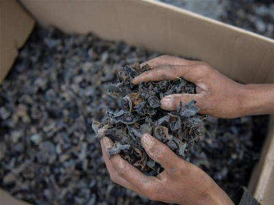 吃货请注意！除了“酸汤子”，这些食物也可能引发致命的中毒......