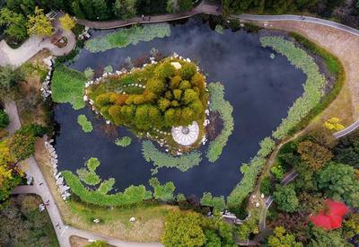 俯瞰中山公园，这里藏着一颗“森林之眼”