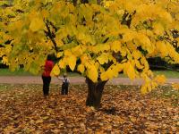 英国格洛斯特郡：秋色满园