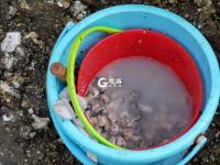 避开景点人潮，唐岛湾开启假日慢生活！