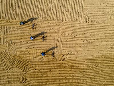 又是一年稻谷黄 你还记得儿时的秋收场景吗？