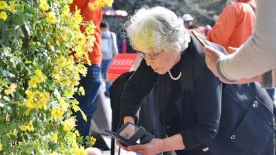 九九重阳日 踏秋赏菊花