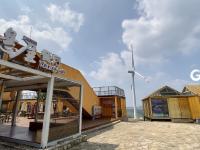 向往的生活 坐标潍坊薰衣草小镇——潮起胶东线上展（11）