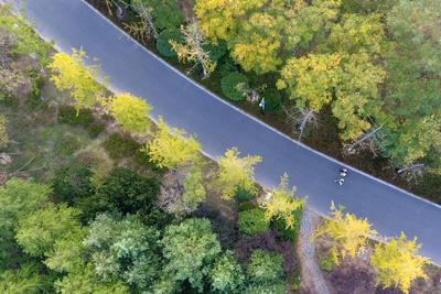 惹人醉，唐岛湾秋正浓