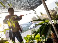 以花为生的中年青漂人 