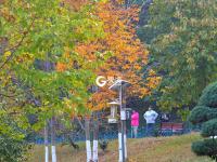 色彩斑斓，青岛植物园秋色醉人