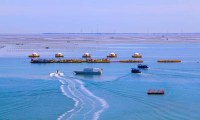 壮大蓝色经济新动能 走进威海爱伦湾海洋牧场——潮起胶东线上展（10）