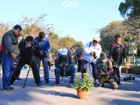 金秋菊展吸引爱花人