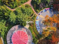 航拍秋日中山公园：这份壁纸请收好