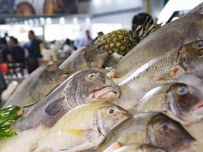 北京将启用进口冷链食品追溯平台，冷冻肉类水产来源扫码可查