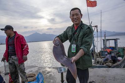 螃蟹八带虾虎……诱惑来袭 港东码头秋日丰收